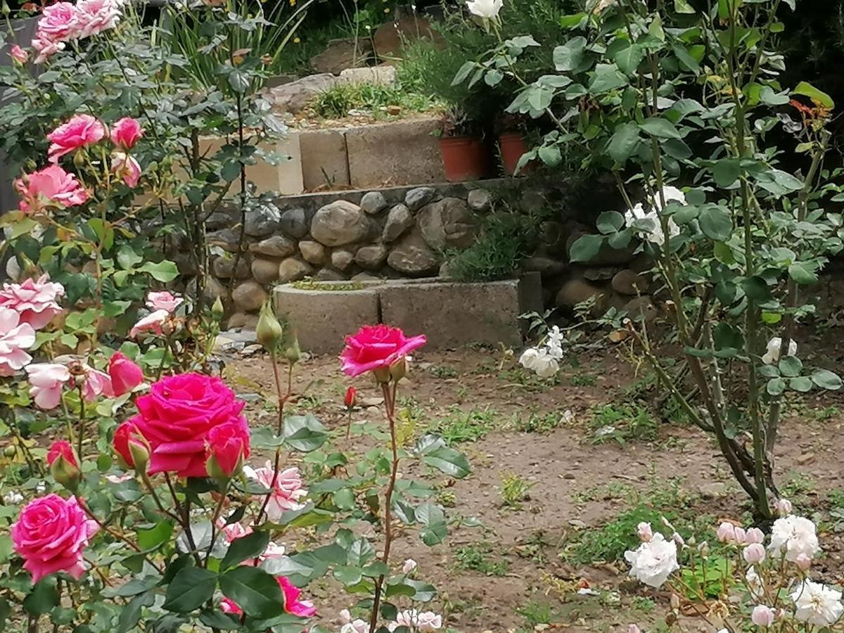Aanhuizen Guest House Swellendam Zewnętrze zdjęcie